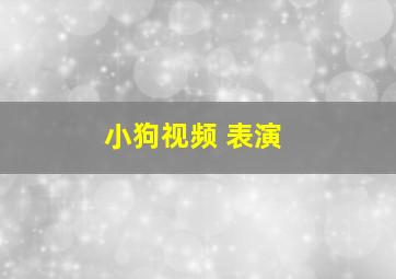 小狗视频 表演